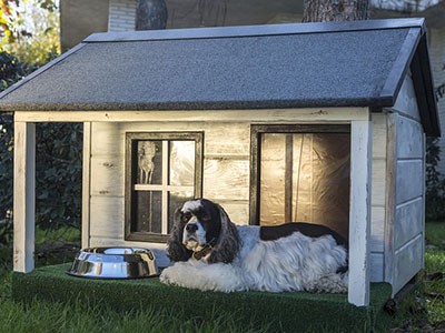 Remodeling? Make room for your pets